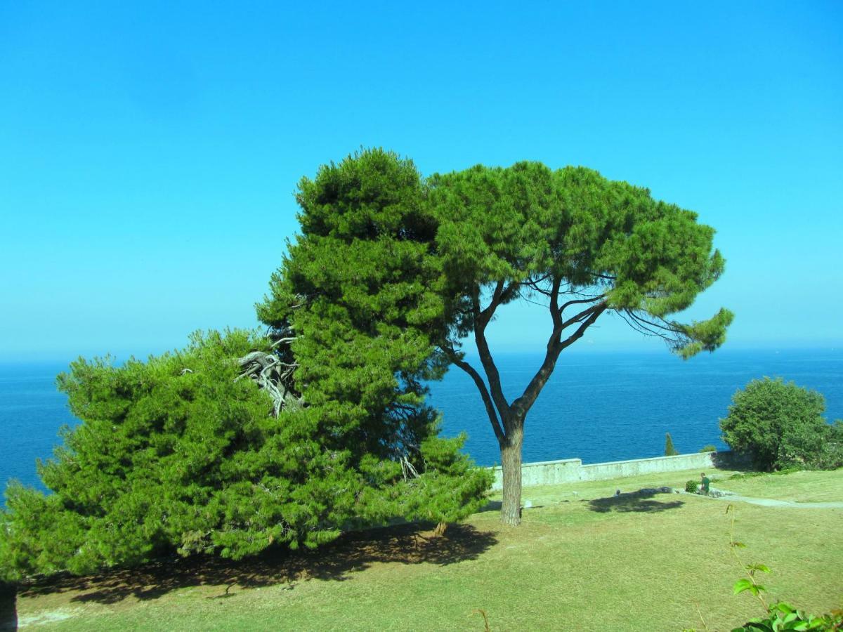 Apartment Beba Rovinj Eksteriør bilde