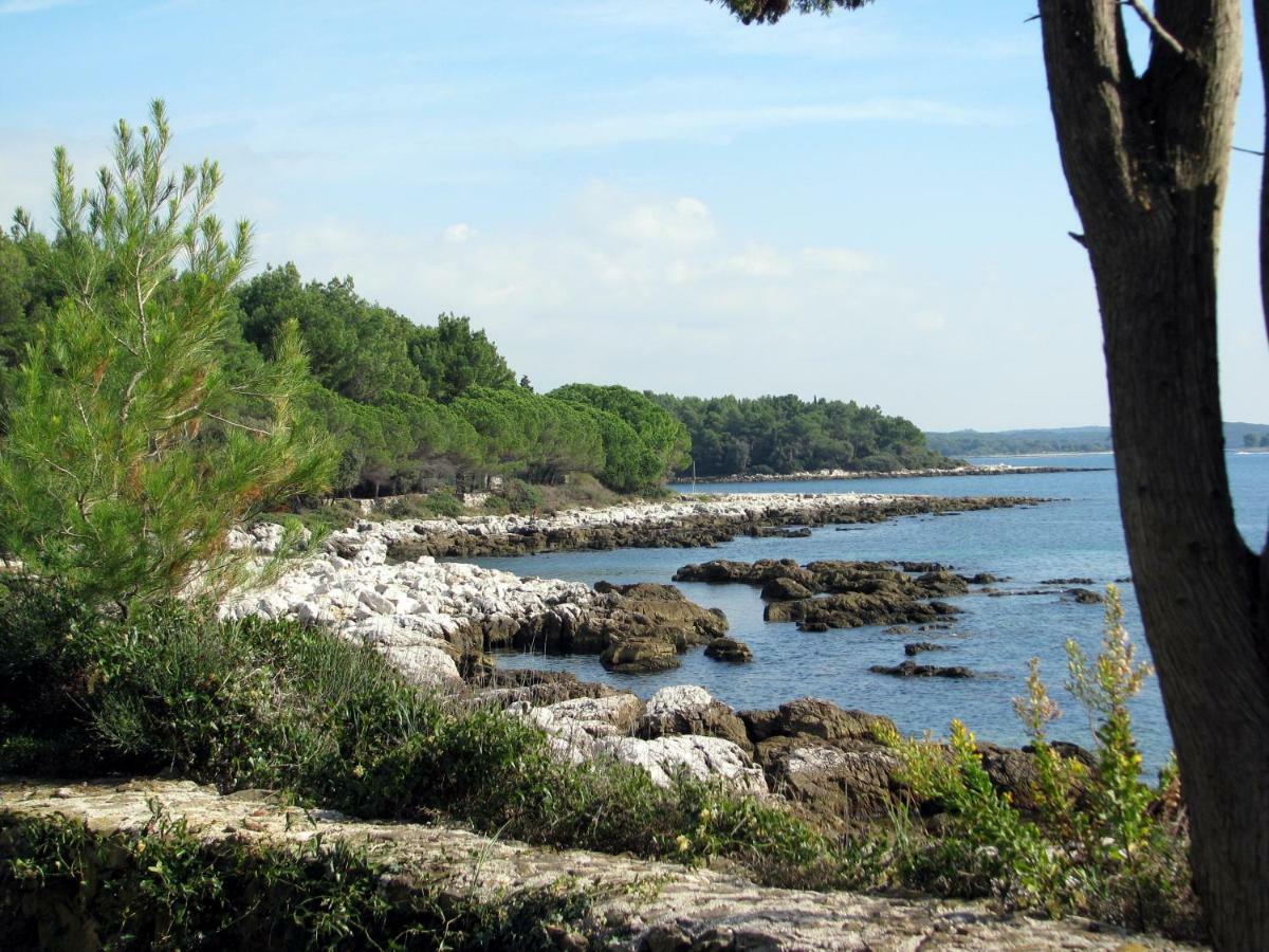 Apartment Beba Rovinj Eksteriør bilde
